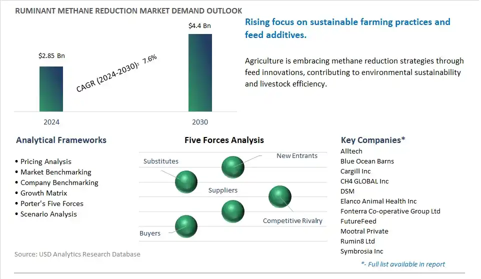 Ruminant Methane Reduction Market- Industry Size, Share, Trends, Growth Outlook